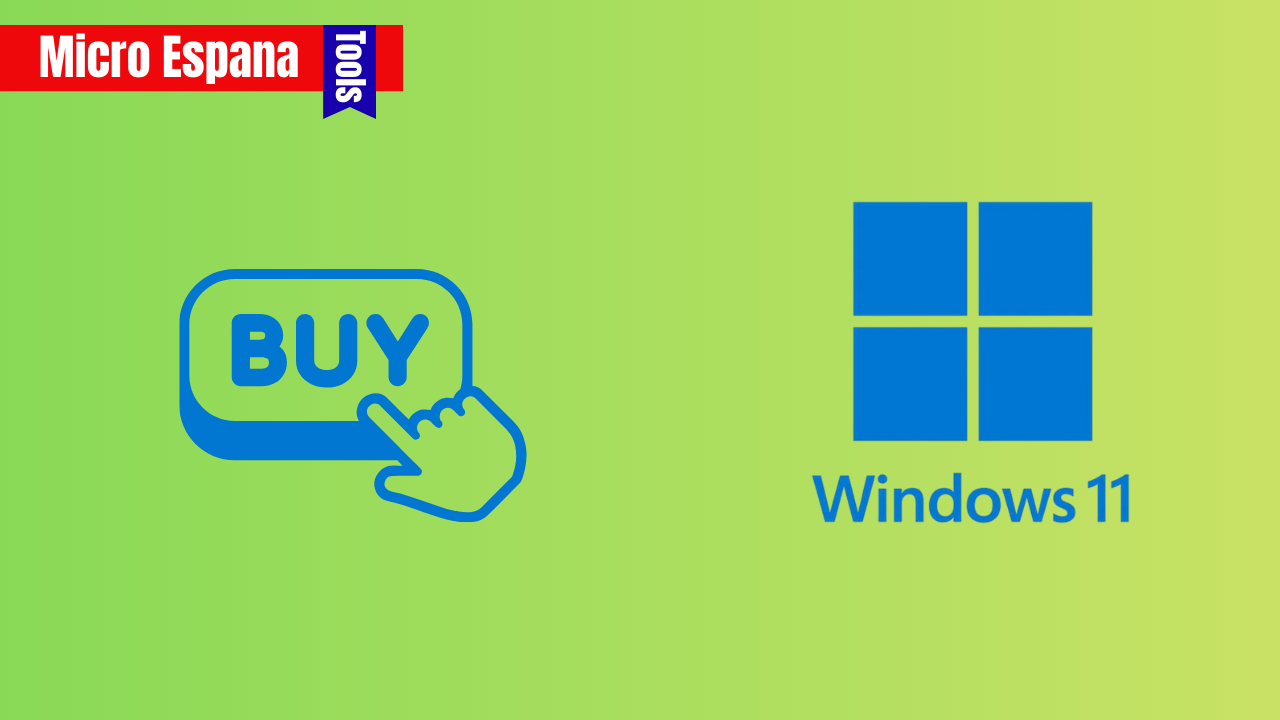 Windows 11 License